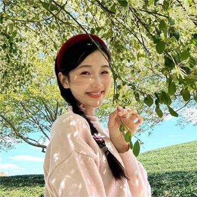 完美伴侣2025